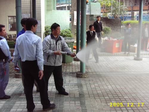 200807259402.JPG